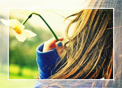 向来如梦佳期：结局+番外宝藏最新章节列表_向来如梦佳期：结局+番外宝藏全文免费阅读(宋晚情傅司寒)