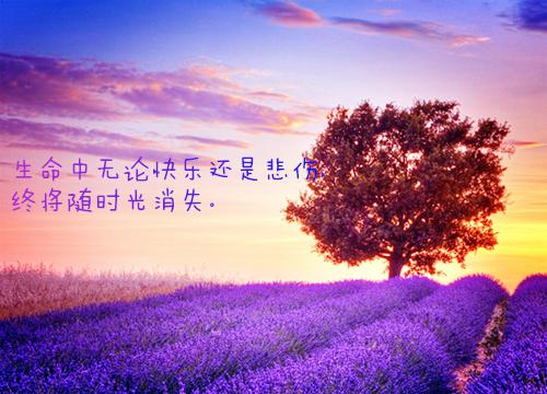 劝被家暴的姑子离婚后，我被杀了全文小说陈芳,林强目录