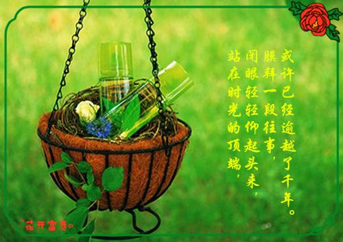 闹闹没有情绪的小说结婚当天，女朋友却在别人怀里贺霆秦悦萧逸全文在线阅读