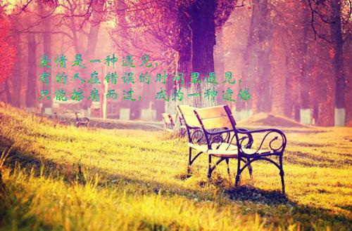 小说后续全文 贺朝月傅延年：优质全文小说后续全文贺朝月傅延年完整版在线阅读_贺朝月傅延年（贺朝月傅延年：优质全文）完结阅读无弹窗大结局