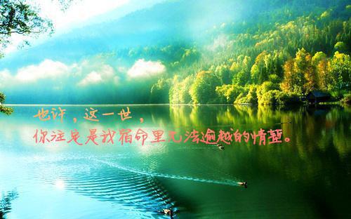再见故人勿相认：删减内容修复版本（宋承叶知秋）最新章节_再见故人勿相认：删减内容修复版本全文阅读