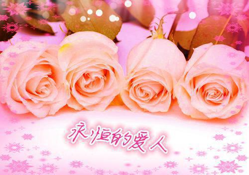 新婚夜被三个驸马联手虐杀，重生后我选择远走和亲：+后续+完结最新章节列表_新婚夜被三个驸马联手虐杀，重生后我选择远走和亲：+后续+完结全文免费阅读(舜华)