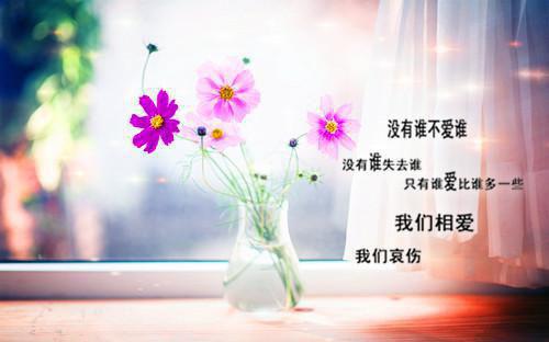 全文浏览当爱恨如潮生免费（裴叙白乔若梨）_当爱恨如潮生免费（裴叙白乔若梨）全文结局