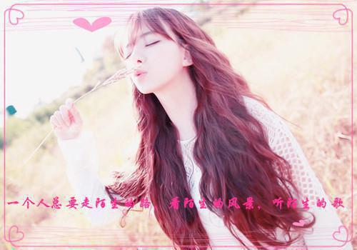 我那死装死装的老公：结局+番外+续集（秦穗沈策）最新章节_我那死装死装的老公：结局+番外+续集全文阅读