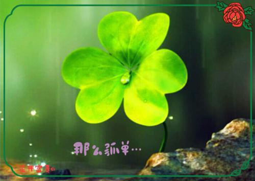 沈珞溪贺璟辰：独家首发(贺璟辰沈珞溪)最近更新