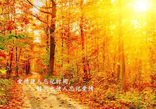 就你会装小白花，抢你男人拆你家！：结局+番外（宋染顾远霆）最新章节列表_就你会装小白花，抢你男人拆你家！：结局+番外（宋染顾远霆）全文+后续+结局在线阅读