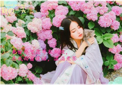 （宋时欢宋惜颜）重生嫡女：我把纨绔爹养成皇帝啦：短篇小说阅读在线阅读最近更新