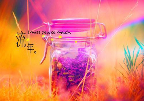 相思寄遥望（蓝遥江望）最新章节_相思寄遥望全文阅读