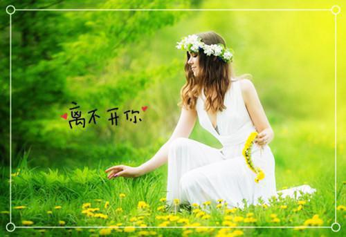 (番外)+(全文)阮雾梨闻砚辞全文+后续下载阅读_(闻砚辞阮雾梨)阮雾梨闻砚辞全文+后续最新章节列表_笔趣阁（闻砚辞阮雾梨）