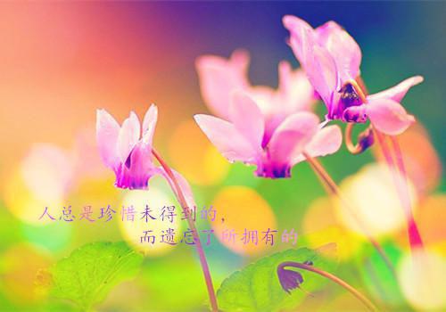 (番外)+(全文)总裁最爱方便面txt下载阅读_（方云舒顾景尧）总裁最爱方便面最新章节列表_笔趣阁（方云舒顾景尧）
