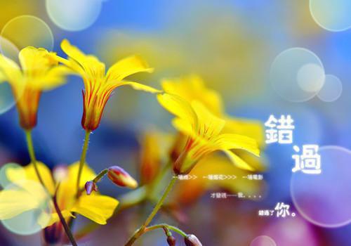 肿瘤切除时，主刀的老公说我恶心（林婉童周皓）全文免费_（林婉童周皓）肿瘤切除时，主刀的老公说我恶心后续阅读（林婉童周皓）