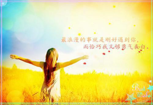 （顾南辰林晚意）顾南辰林晚意江文舟全文+后续