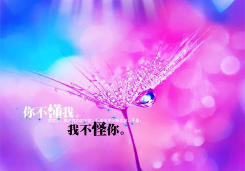 (番外)+(全文)花落时才说爱txt下载阅读_（季南叶青岚）花落时才说爱最新章节列表_笔趣阁（季南叶青岚）