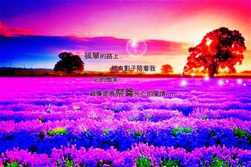 (番外)+(全文)爱似流萤遇繁星：+番外全文免费阅读无弹窗大结局_爱似流萤遇繁星：+番外最新章节列表_笔趣阁