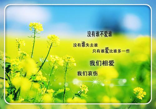 完结文霁色天青最新章节列表_完结文霁色天青全文免费阅读（母家,阿楹,才是）