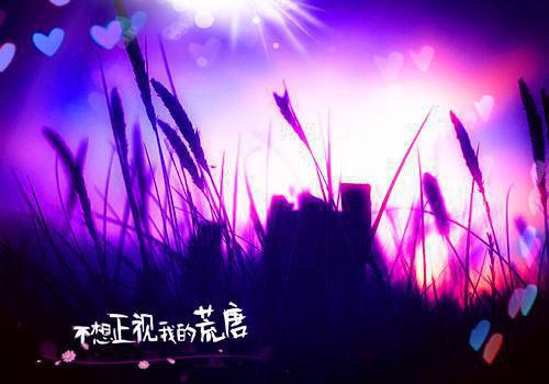 顾司爵的小说转身即漫漫霜华：后续顾司爵叶诗言全文在线阅读
