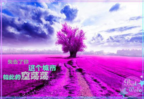 飞鸟坠落云端：（许默笙顾城）全文浏览_飞鸟坠落云端：全文浏览