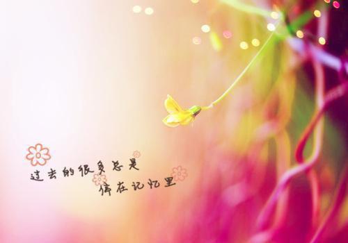 完结文今朝暖烟似旧邻：精品篇最新章节列表_完结文今朝暖烟似旧邻：精品篇全文免费阅读（祁少璟谢倾黎）
