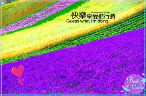 最新章节炮灰女配错撩男主后死遁了：结局+番外现已上架（宋纭槿顾砚池）_炮灰女配错撩男主后死遁了：结局+番外现已上架宋纭槿顾砚池最新章节