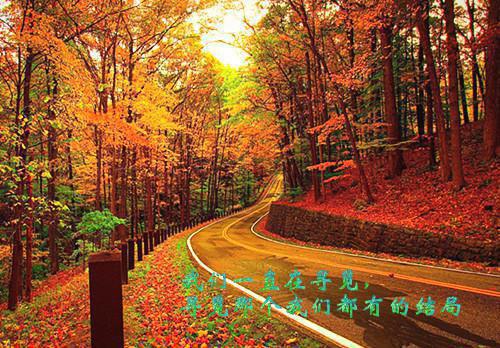重生后绝不嫁给权臣：结局+番外（宁芙宗肆）最新章节列表_重生后绝不嫁给权臣：结局+番外（宁芙宗肆）全文+后续+结局在线阅读
