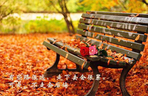 他站在回忆尽头：免费赏析（乔若兮沈辞安）全文免费_（乔若兮沈辞安）他站在回忆尽头：免费赏析后续阅读（乔若兮沈辞安）