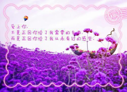 完结文看飞絮吹乱烟雨老书虫最新章节列表_完结文看飞絮吹乱烟雨老书虫全文免费阅读（孟清慈程予桉林微澜）