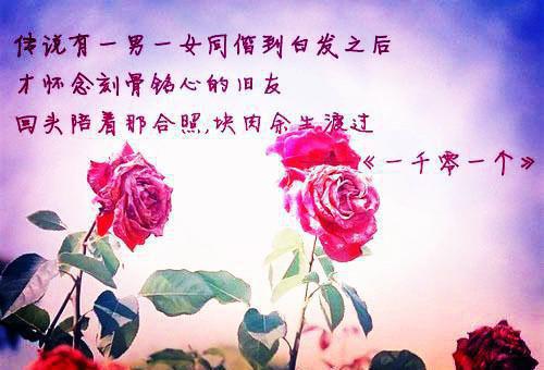 挖我金丹后，尊上后悔了最新章节列表_挖我金丹后，尊上后悔了全文免费阅读(苏苏夜尘)