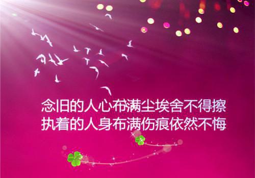 招惹禁欲大佬后，我逃不掉了最新章节列表_招惹禁欲大佬后，我逃不掉了全文免费阅读(谢清絮江辞煜)