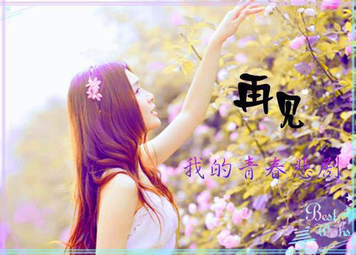 与你相遇多欢喜：完结爽文最新章节列表_与你相遇多欢喜：完结爽文全文免费阅读(沈意欢陆沉舟)