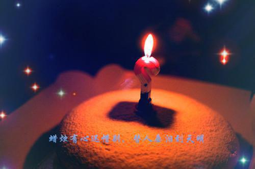 宁芙宗肆全文+番外+大结局（悔婚当日，清冷权臣求我别始乱终弃：结局+番外）免费在线阅读_宁芙宗肆（悔婚当日，清冷权臣求我别始乱终弃：结局+番外）全文免费阅读无弹窗大结局