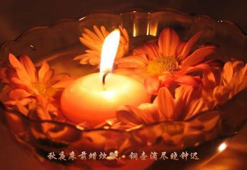 谢青临宋初吟评价五颗星结局+番外(谢青临宋初吟)全文谢青临宋初吟读无弹窗结局_谢青临宋初吟读结局章节列表_笔趣阁（谢青临宋初吟评价五颗星结局+番外）