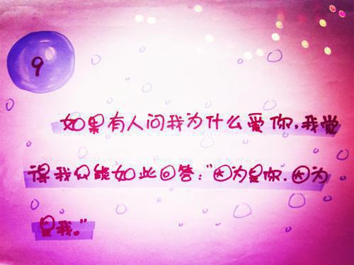 谁与你白头成眷：免费阅读(陆沉舟沈意欢)全章无套路阅读纯净版小说大结