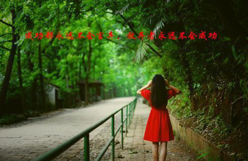 小说一纸圣婚第1章免费阅读
