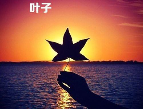 小说后续全文 过喜女：,宋清欢裴之铭畅销小说后续全文宋清欢裴之铭完整版在线阅读_宋清欢裴之铭（过喜女：,宋清欢裴之铭畅销）完结阅读无弹窗大结局