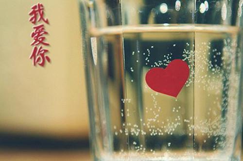 明絮裴廷聿：最新章节列表_明絮裴廷聿：全文免费阅读
