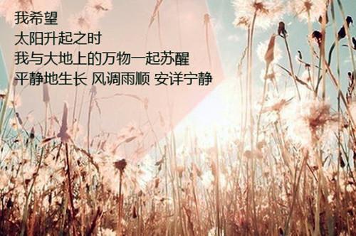 (番外)+(全文)凭爱意将你私有：全文+免费下载阅读_(江星落傅靳舟)凭爱意将你私有：全文+免费免费阅读全文最新章节列表_笔趣阁（江星落傅靳舟）