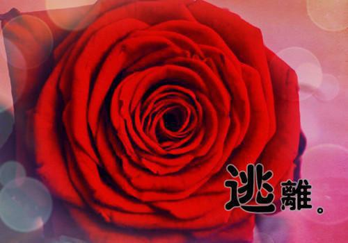 死后五年我沉冤得雪（周铁龙孟婷雅李玲蓝李俊贤）最新推荐_最新推荐死后五年我沉冤得雪（周铁龙孟婷雅李玲蓝李俊贤）
