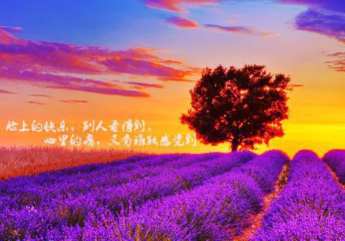 全文浏览越放纵越有钱，我享受肆意人生火爆情节（陈阳折柔）_越放纵越有钱，我享受肆意人生火爆情节（陈阳折柔）全文结局