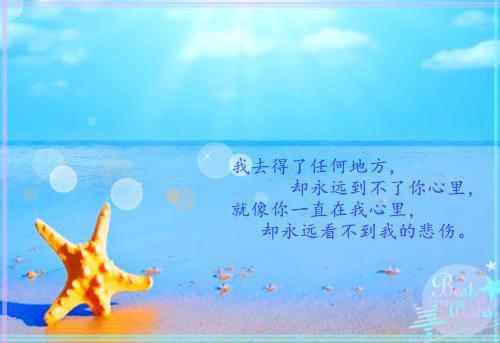 完结文重生在高考前我笑着送小青梅和小混混去庆祝成人礼：优质最新章节列表_完结文重生在高考前我笑着送小青梅和小混混去庆祝成人礼：优质全文免费阅读（沈晏安乔念）