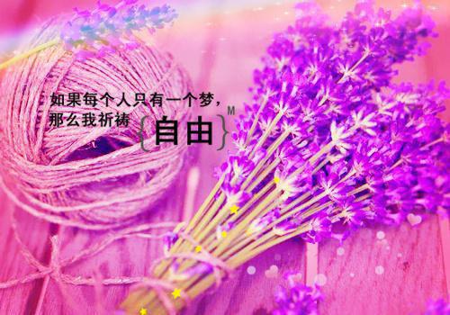 终是庄周梦了蝶：：+后续+沈聿珩南语推荐完本_已完结终是庄周梦了蝶：：+后续+（沈聿珩南语）