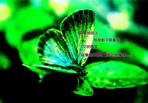 魔仙弑神(萧凡霍青)最近更新