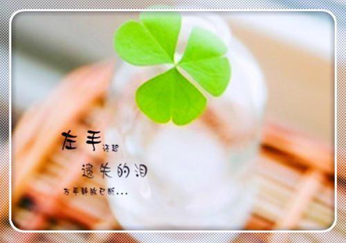 余温散尽时：结局+番外（许思梨沈辞越）最新章节列表_余温散尽时：结局+番外（许思梨沈辞越）全文+后续+结局在线阅读