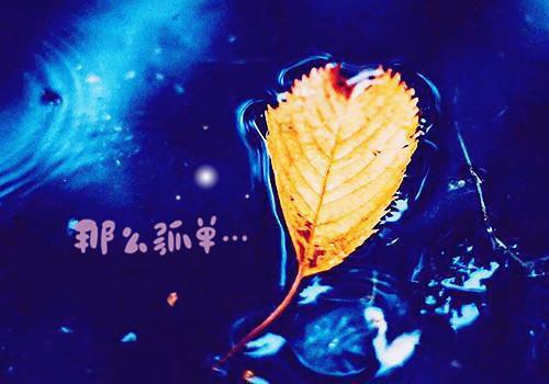 (番外)+(全文)攻略天才少女后，我不要她了最新章节免费阅读_（蓝竺）攻略天才少女后，我不要她了全文免费在线阅读_笔趣阁（蓝竺）