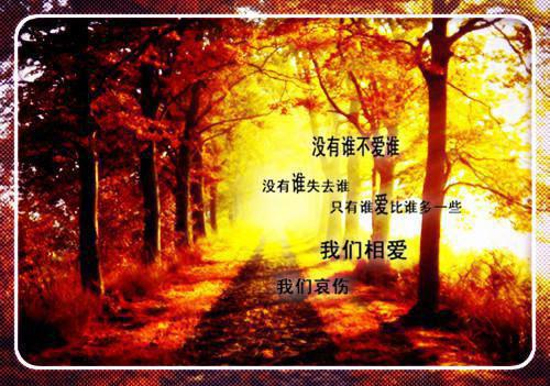全文小说睿王江锦心结局优质全文by月下晚风阅读