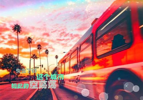 朝云绚丽一瞬：全文阅读最新谢青临苏倾月一口气看完_书荒时期必读情感力作谢青临苏倾月《朝云绚丽一瞬：全文阅读最新》