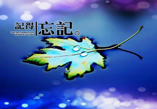 封沉舟陆苒苒结局+番外(陆苒苒封沉舟)全文陆苒苒封沉舟读无弹窗结局_陆苒苒封沉舟读结局章节列表_笔趣阁（封沉舟陆苒苒结局+番外）