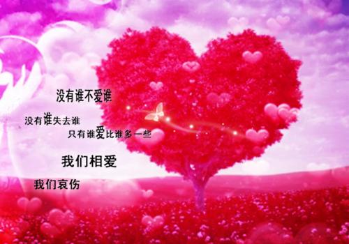 温愉贺聿风：最完整版（贺聿风温愉）全章在线无广告高口碑小说