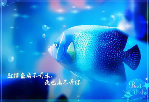 雪落云深不渡我：精品选集全文阅读（姜岁暖许星野）最新章节_雪落云深不渡我：精品选集全文阅读