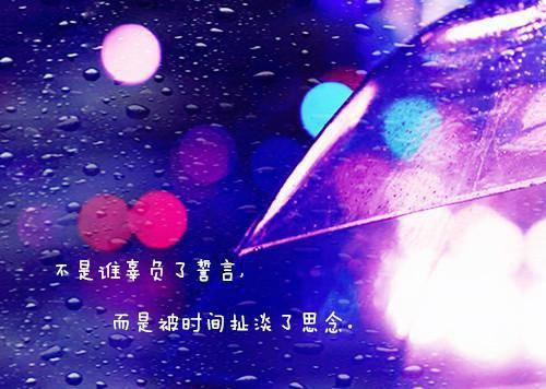 你如风我似烬：最新章节列表_你如风我似烬：全文免费阅读(沈知意裴司域)