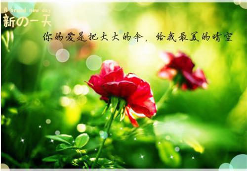全文免费阮雾梨闻砚辞阮见微：免费_阮雾梨闻砚辞阮见微：免费全文免费